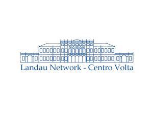 Landau Network